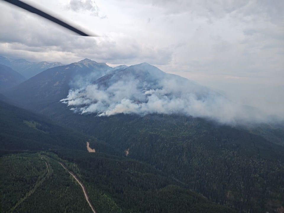 Crews face tree danger from high winds as B.C. wildfires abate due to precipitation