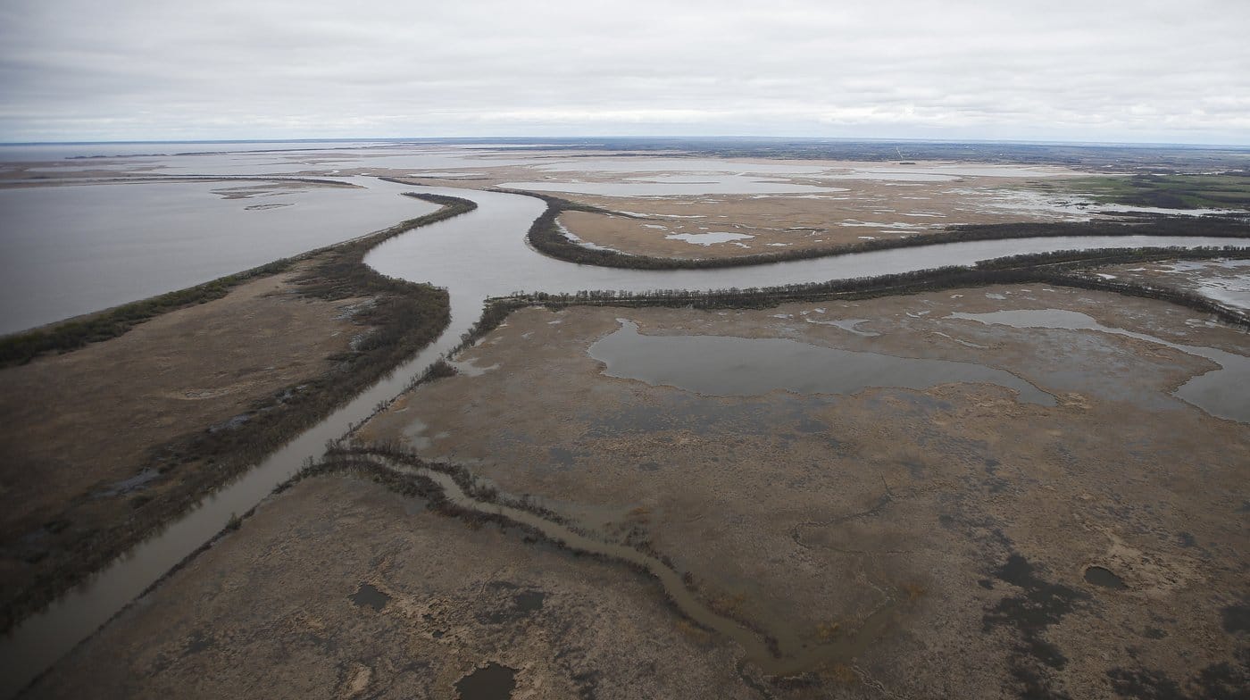 Manitoba chiefs' lawsuit demands that Lake Winnipeg be recognised as a person under law