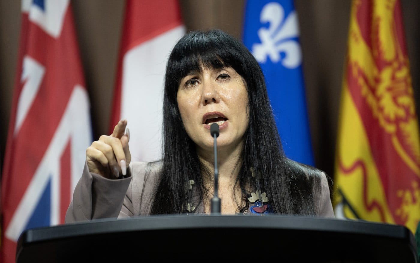 A measure to make denial of residential schools illegal is introduced by an NDP MP