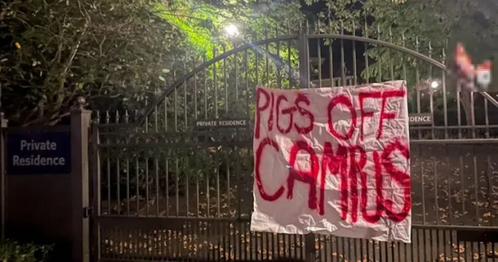 Pig head mounted on UBC fence an act of antisemitism, Jewish group says