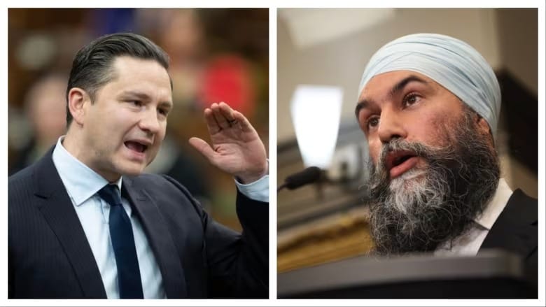 'I'm right here, bro': Singh, Poilievre have tense exchange during question period