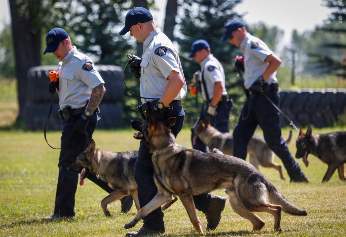 Judge awards B.C. man $60K over police dog bite