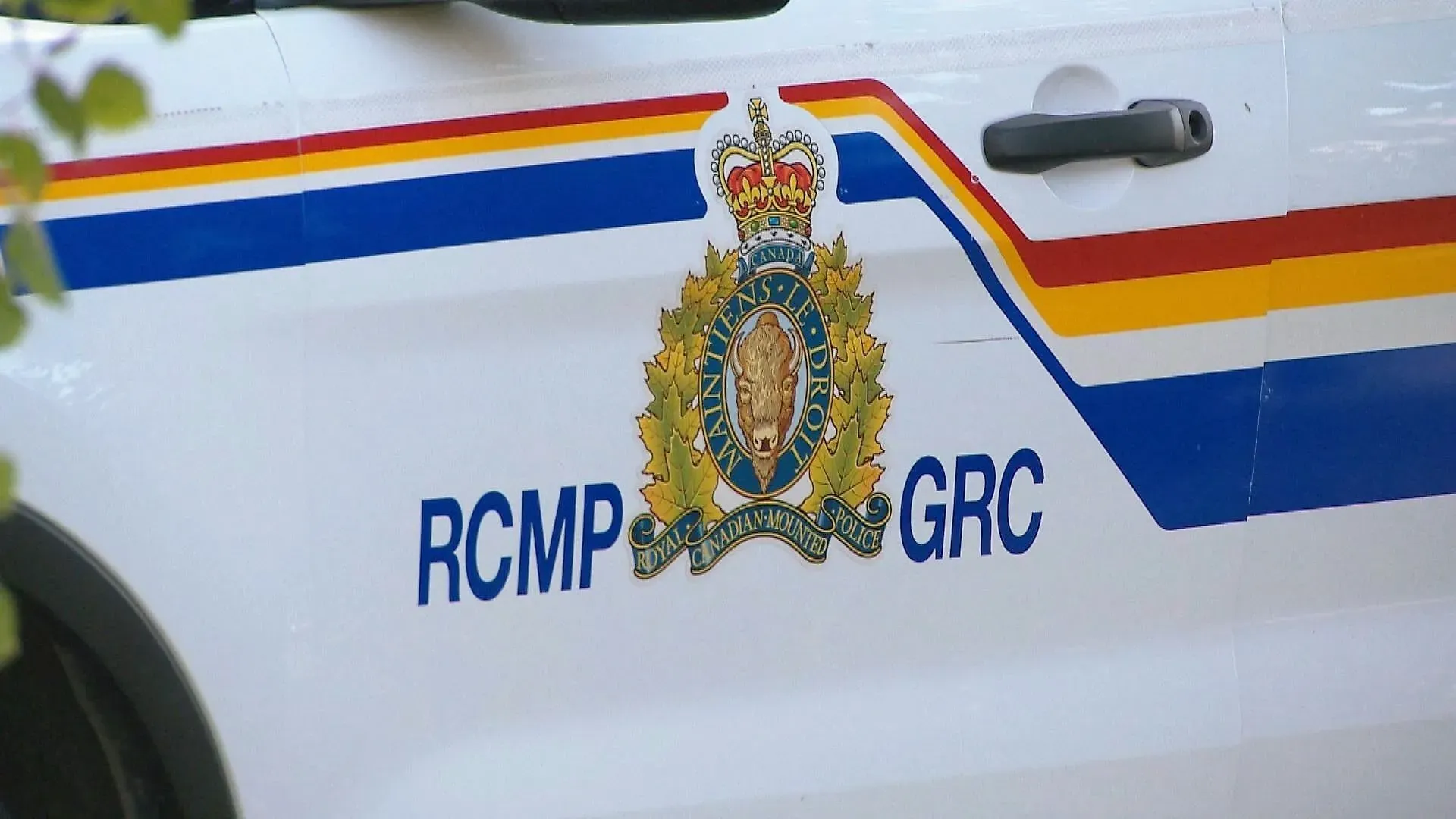 Body found alongside road east of Calgary prompts homicide probe: RCMP