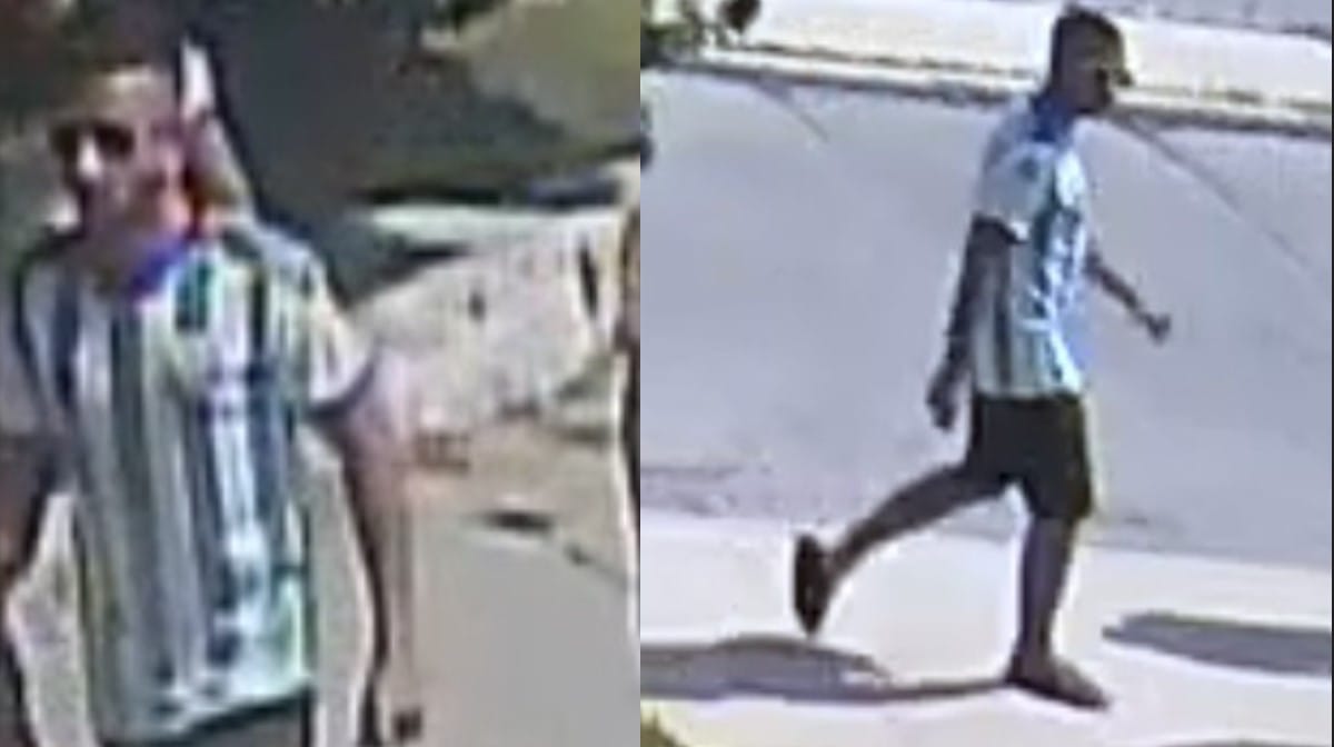 TPS: A man sought for sexual assault attempted to take a kid from a woman at Scarborough Pool