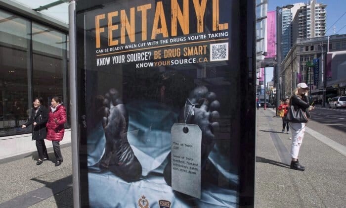 Provincial Data on the Decline in Fatal Fentanyl Overdoses