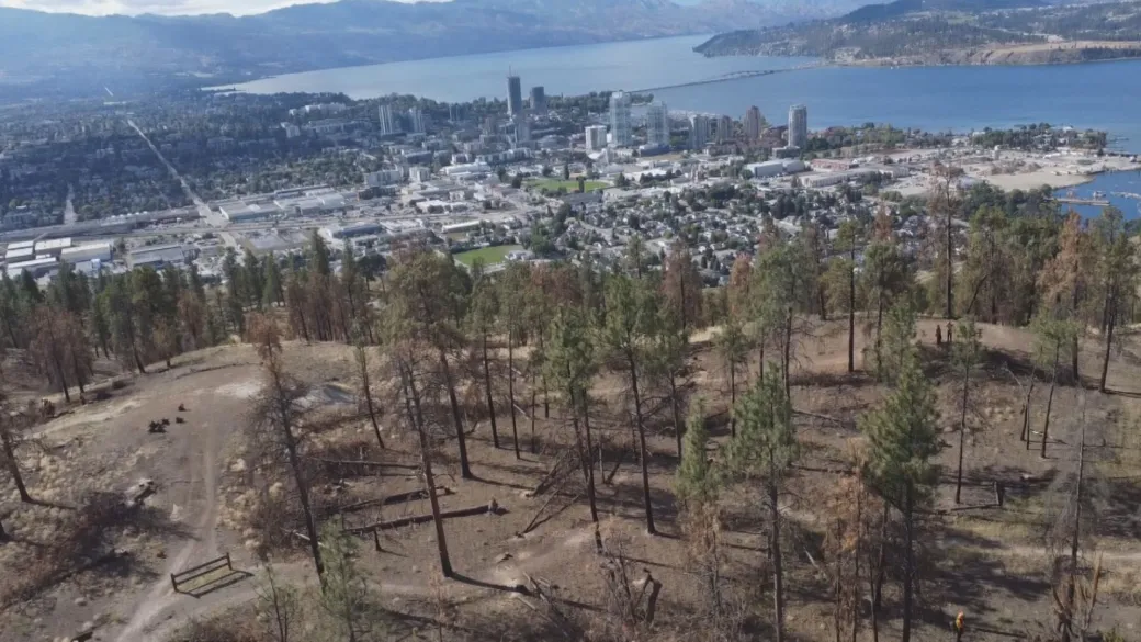 Canada’s 2024 wildfire season on track to be 2nd largest in last 20 years