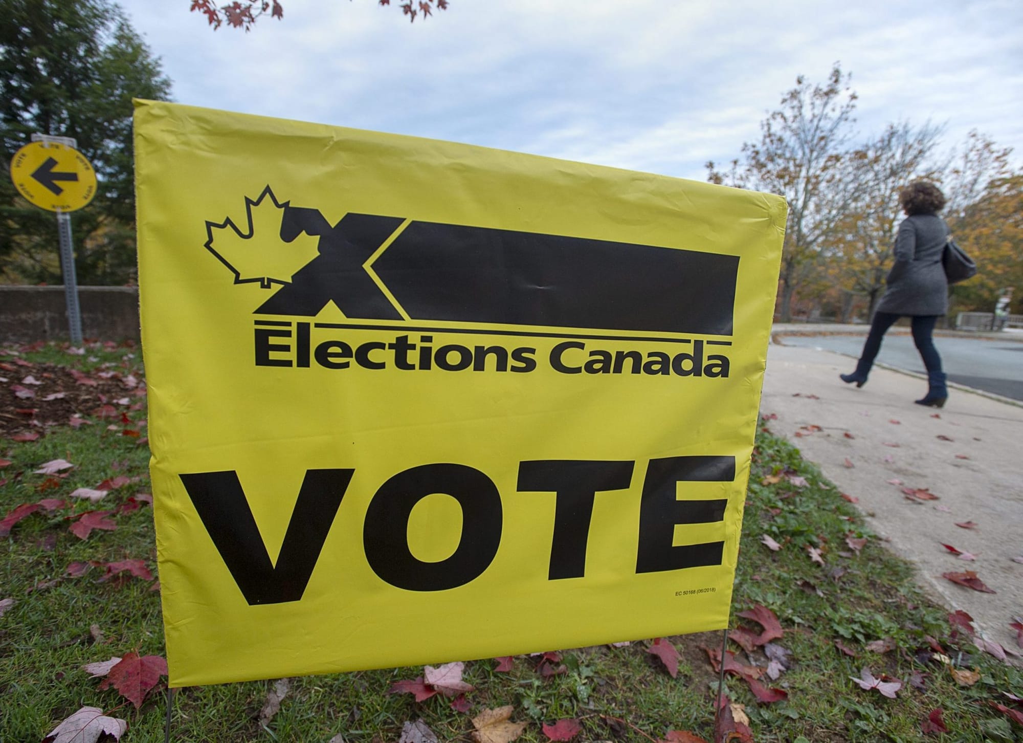 Top electoral officer of Manitoba urges laws to combat misinformation