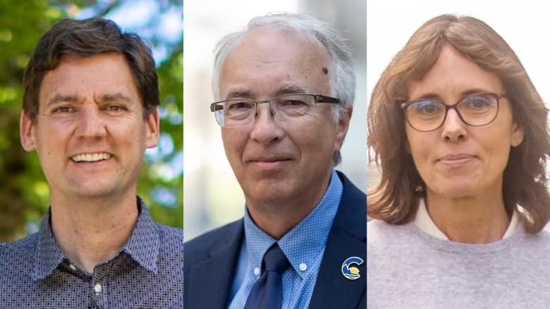 Tough to identify battlegrounds in B.C. election as race heats up