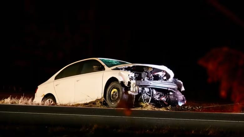 Man and his dog fatally struck on highway in Brossard, Que.