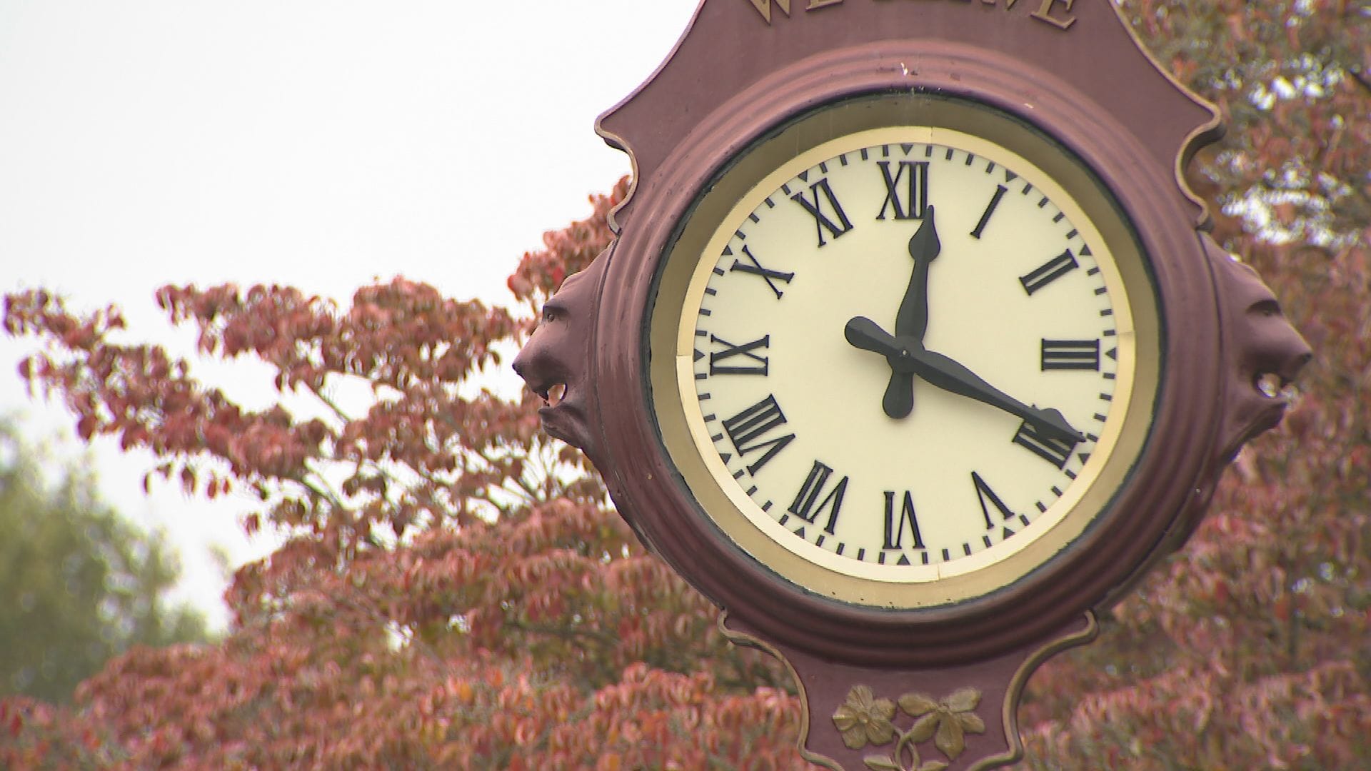 Shorter, darker days for B.C. as clocks fall back