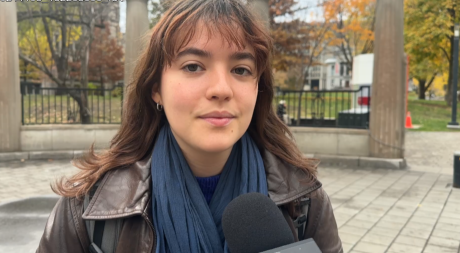 Foreign student cap: Quebec universities and CEGEPs want to be excluded