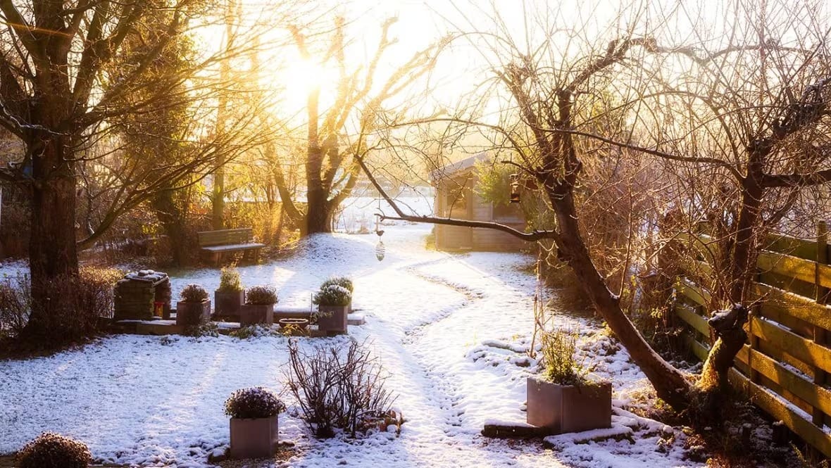 How to prepare your garden for winter