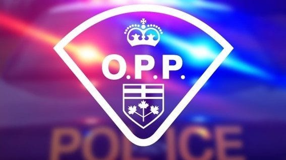 Man killed in Hwy. 417 single-vehicle collision