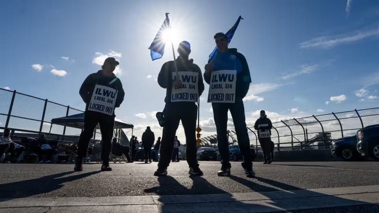 Union, B.C. port employers ordered back to bargaining table as work stoppage drags on