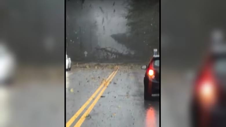 'Like out of a movie': Tornado touches down in Sechelt, B.C.