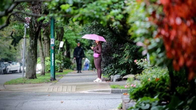 Rain, snowfall warnings issued as fall storm blows through B.C.