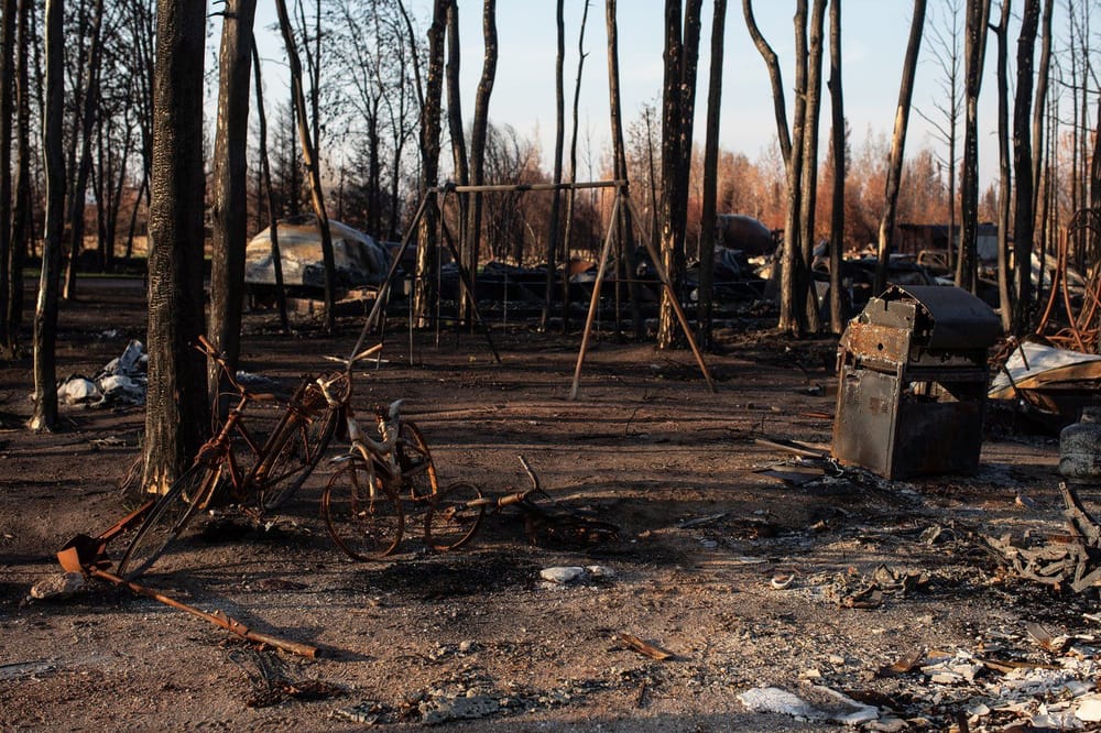 Studies show that Canada's yearly emissions of fossil fuels were quadrupled by the emissions from wildfires last summer post image