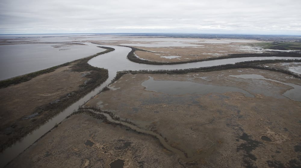 Manitoba chiefs' lawsuit demands that Lake Winnipeg be recognised as a person under law post image