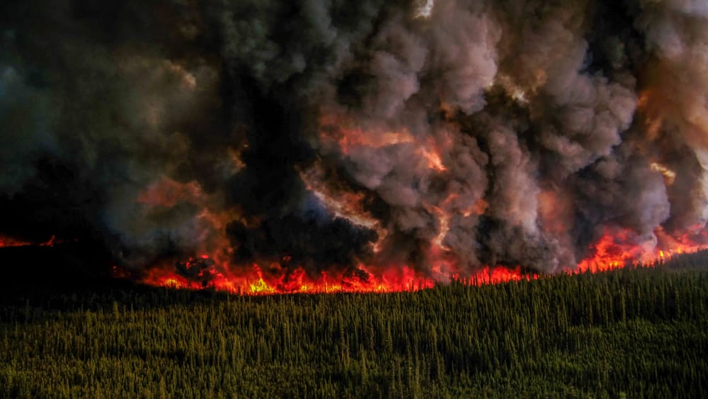 Canada had one of its worst wildfire seasons. How bad was it? post image