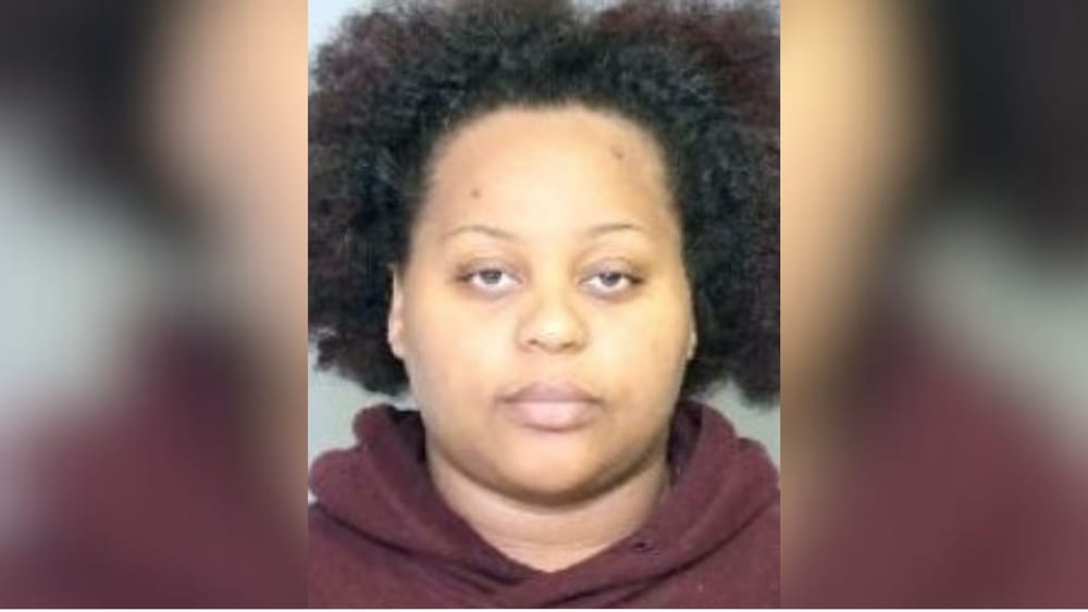 Ontario woman wanted in $800,000 fraud investigation post image