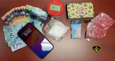 Charges brought in the OPP's drug trafficking probe post image