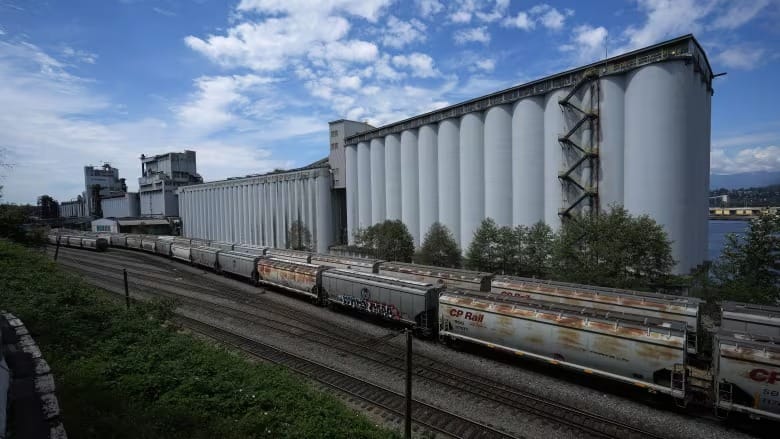 Metro Vancouver grain terminal workers begin strike post image