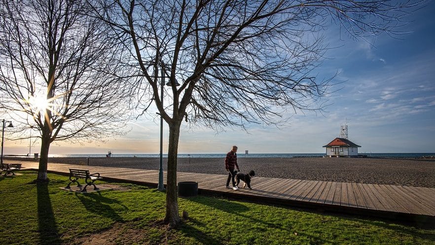 Toronto breaks 65-year-old November temperature record as warm stretch continues post image