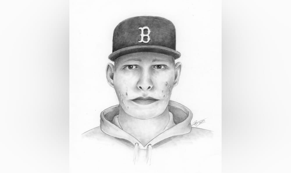 Central Alberta RCMP searching for suspect in rural highway sexual assault post image