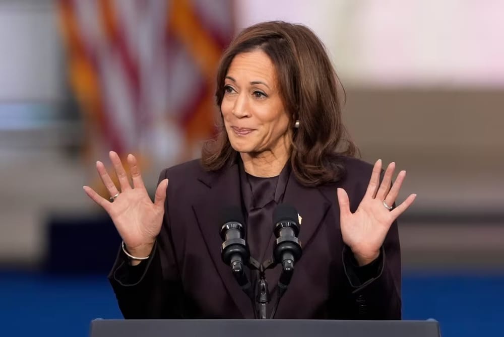 'Not what we wanted, not we fought for': Harris officially concedes defeat to Trump post image