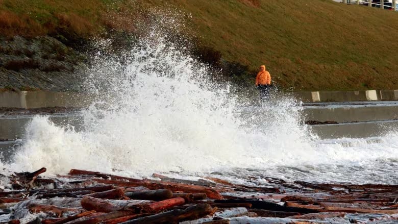 Another storm approaches Vancouver Island as crews finish restoring power to thousands post image