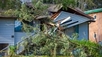 Incoming storm expected to hit B.C. coast with gusts up to 110 km/h post image